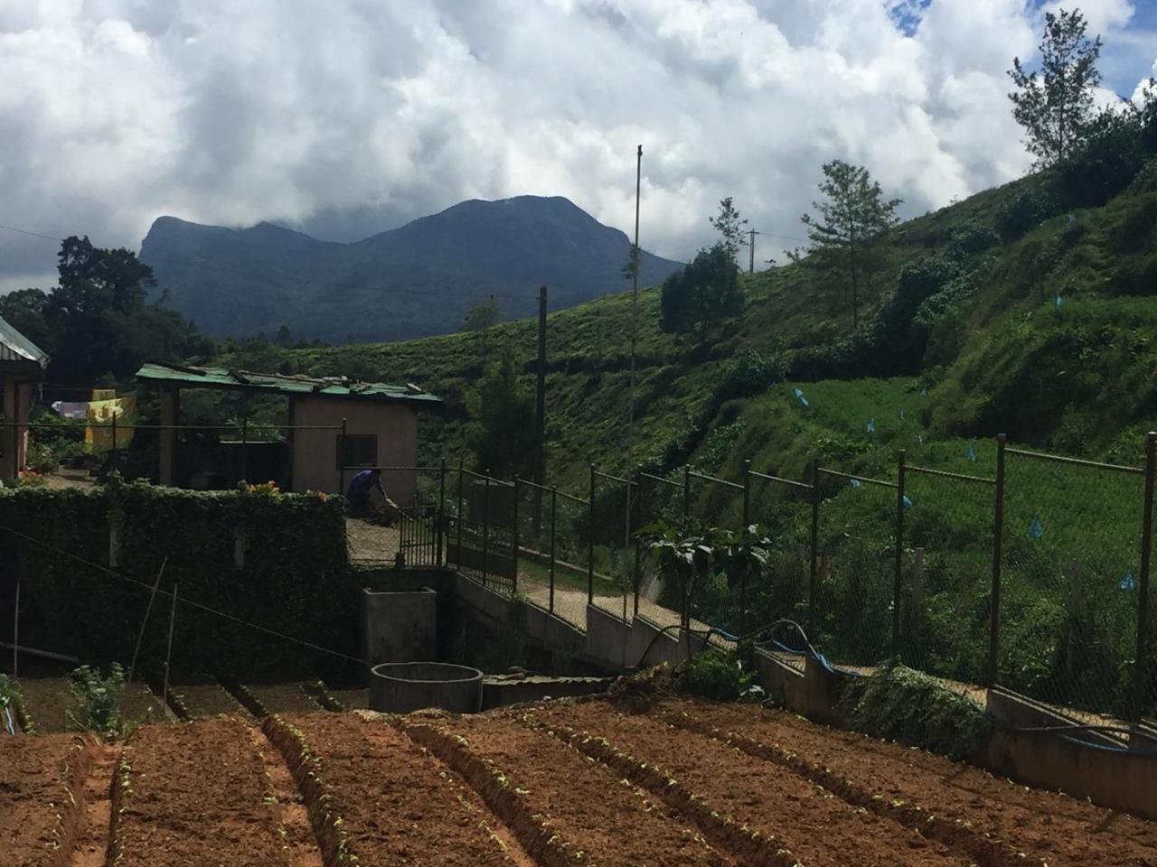 ChandraSobana Nuwara Eliya Bagian luar foto